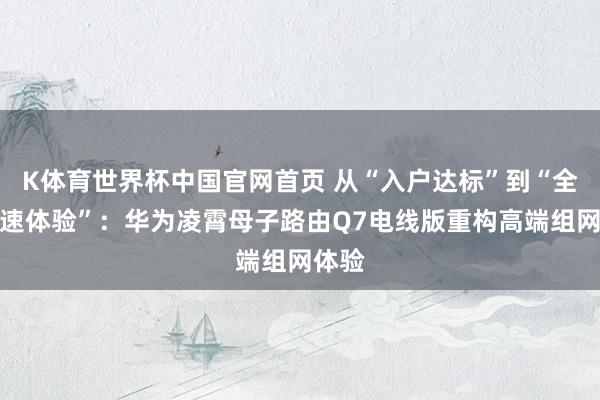 K体育世界杯中国官网首页 从“入户达标”到“全屋