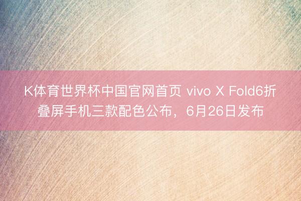 K体育世界杯中国官网首页 vivo X Fold6折叠屏手机